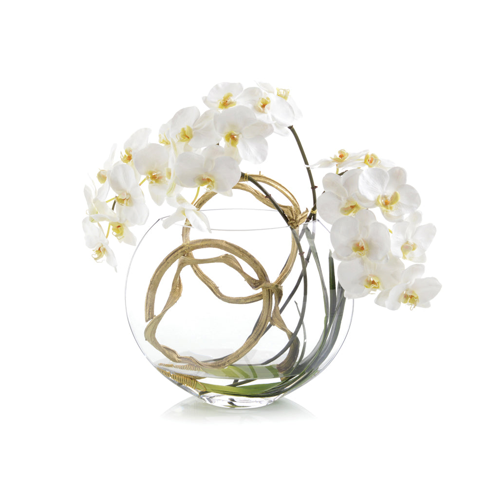 Golden Moon | John-Richard - JRB-4489W
