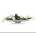 Drifting Orchids | John-Richard - JRB-4509