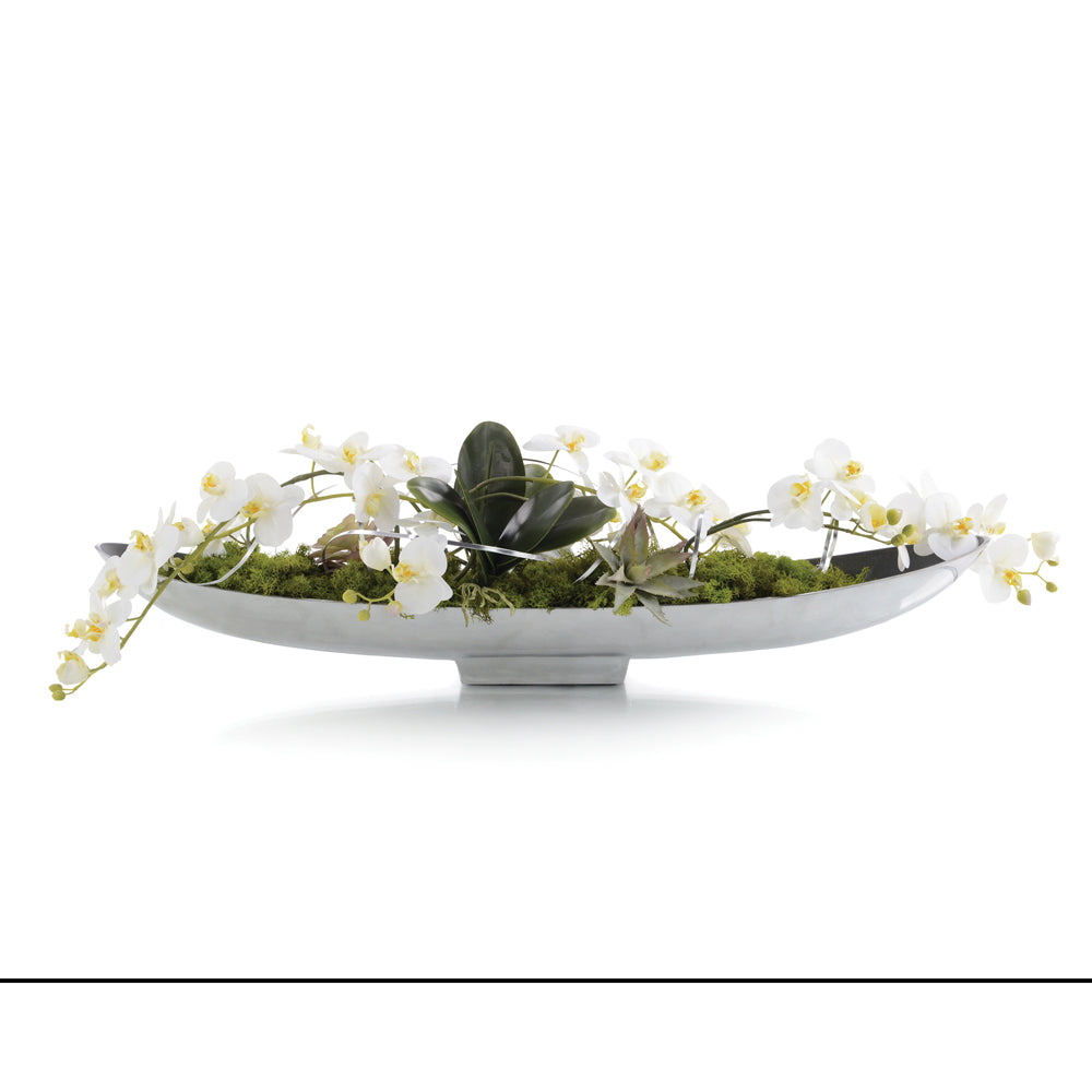 Drifting Orchids | John-Richard - JRB-4509