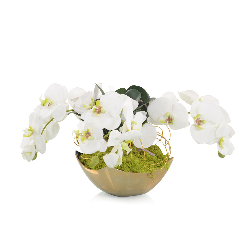 Fallen Orchids | John-Richard - JRB-4765