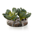 Rocky Succulents | John Richard - JRB-4912W