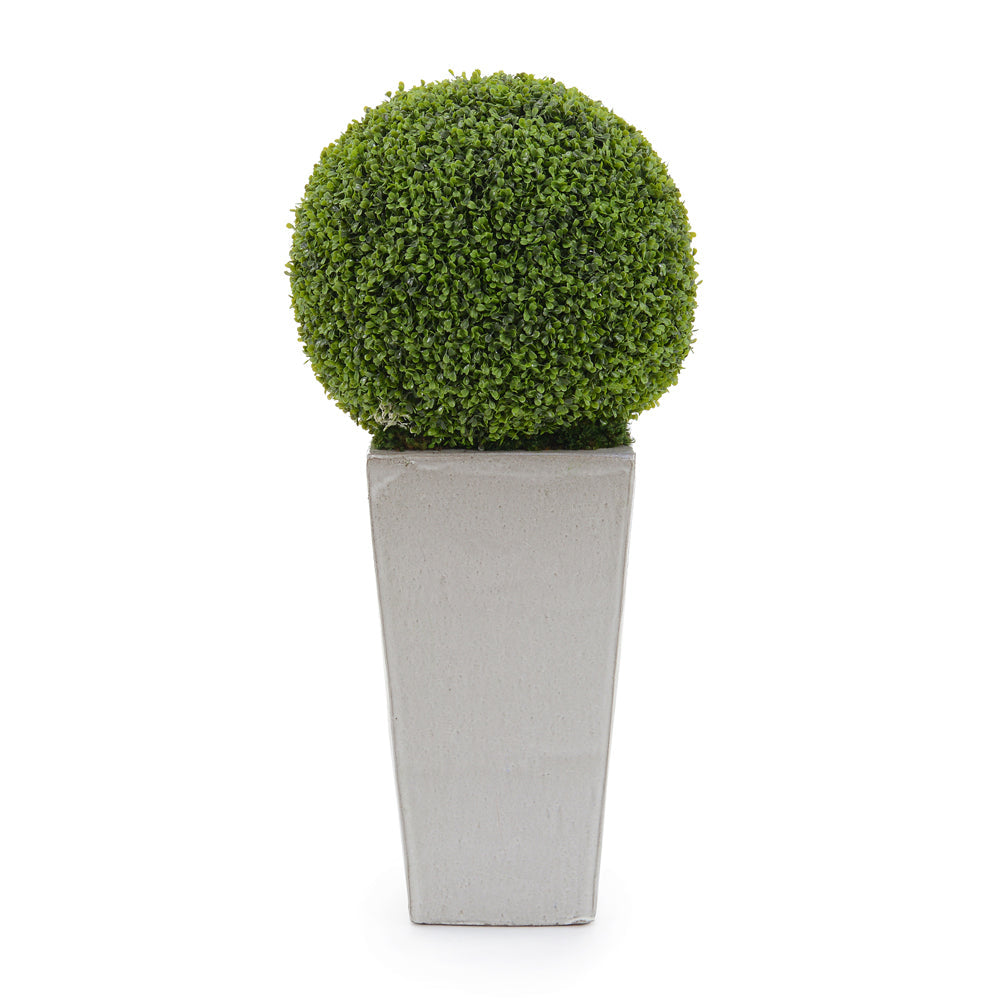 Boxwood Orb | John-Richard - JRB-4938