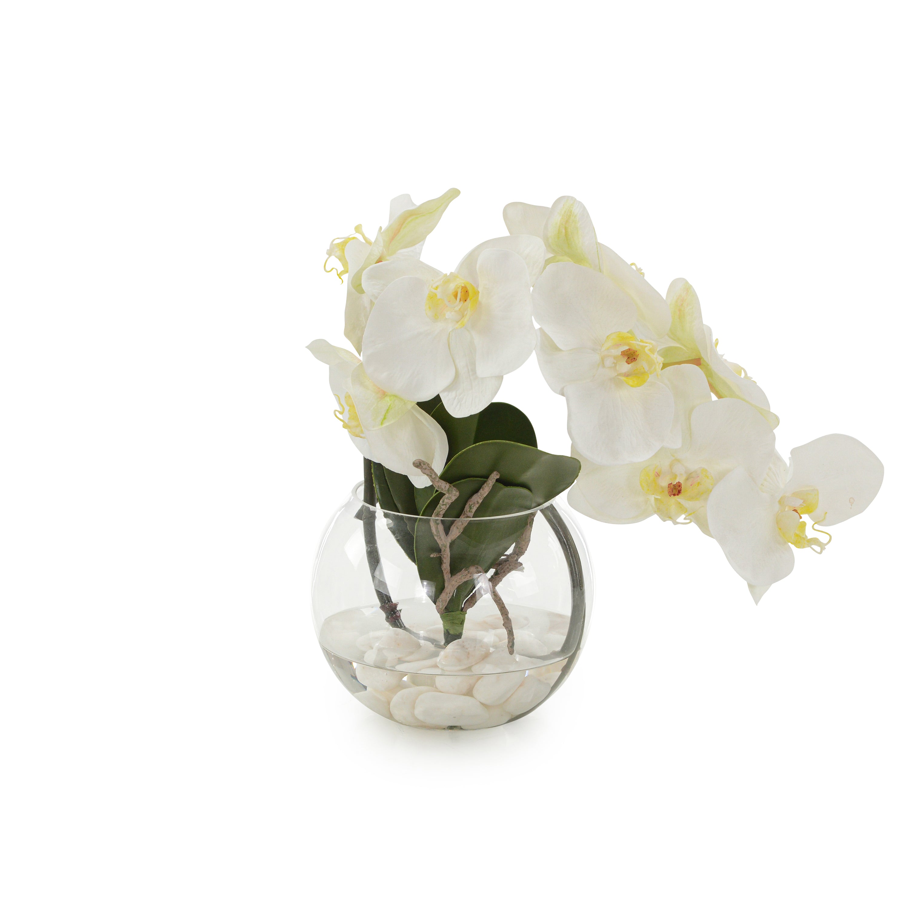 Aqua White Orchid | John Richard - JRB-5047W