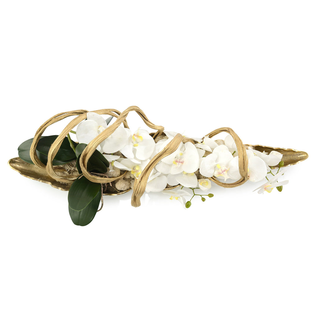 Curling Orchids | John Richard - JRB-5121