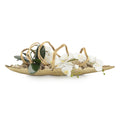 Curling Orchids | John Richard - JRB-5121