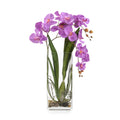 Deep Asian Orchid | John Richard - JRB-5132W