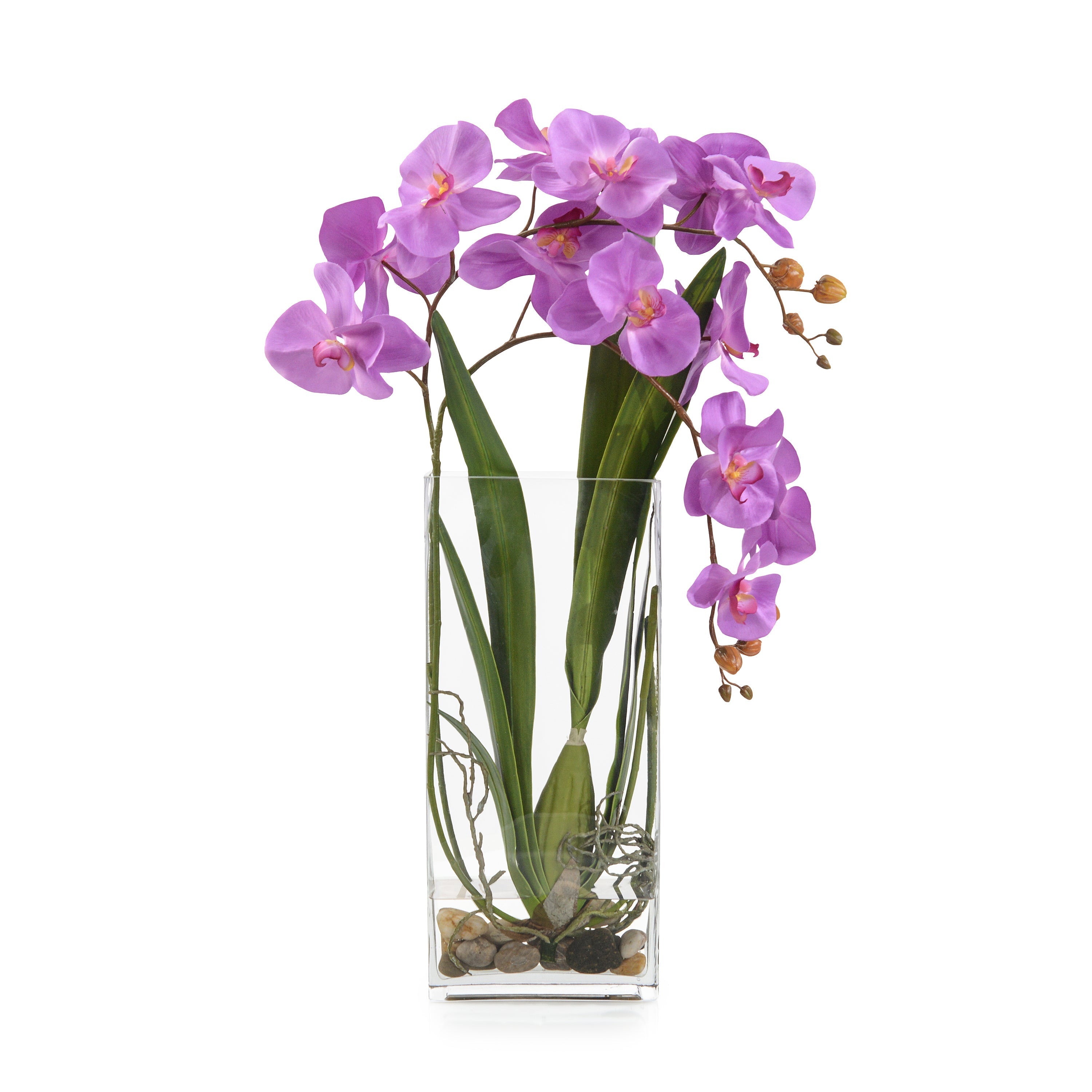Deep Asian Orchid | John Richard - JRB-5132W