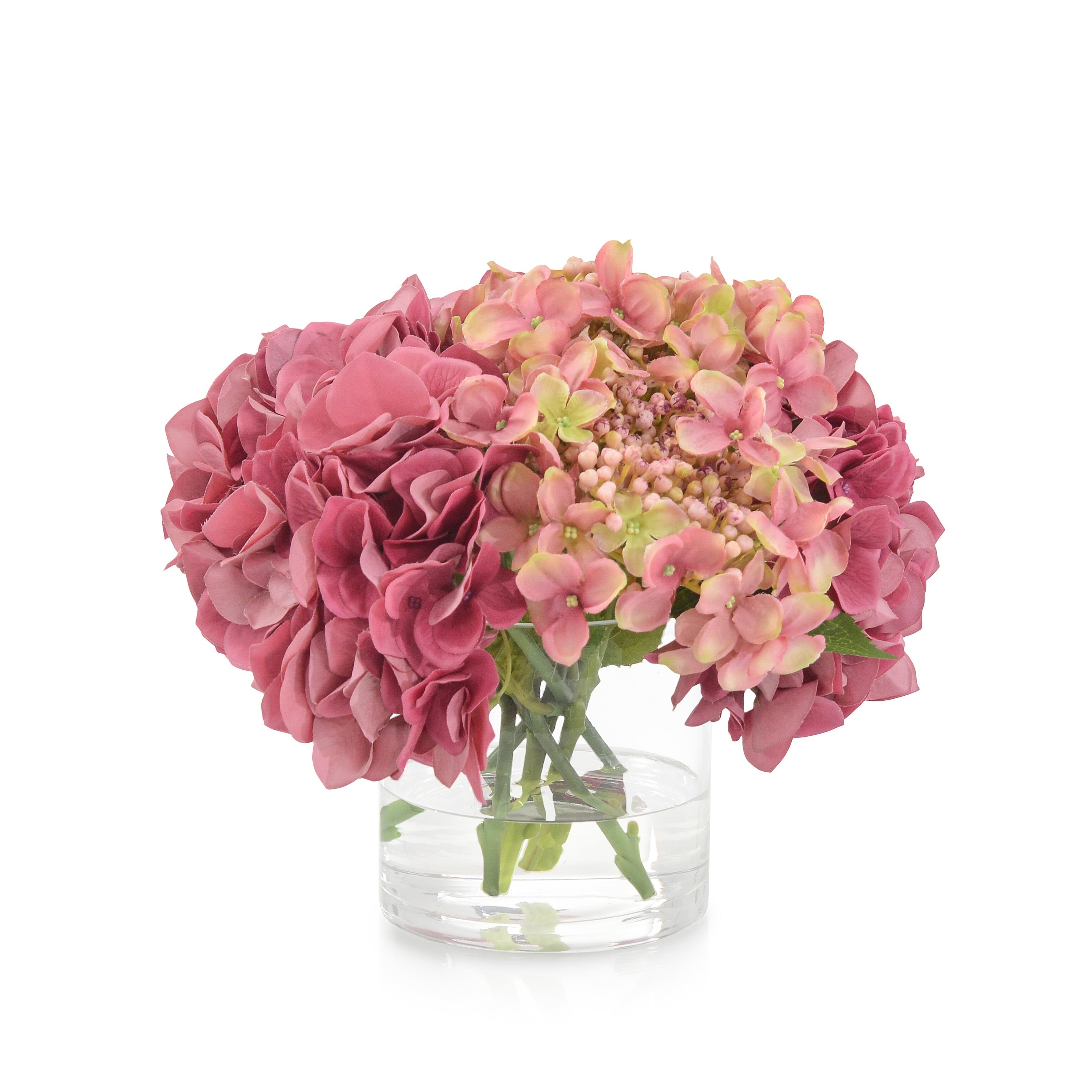 Sugar Plum | John Richard - JRB-5137W