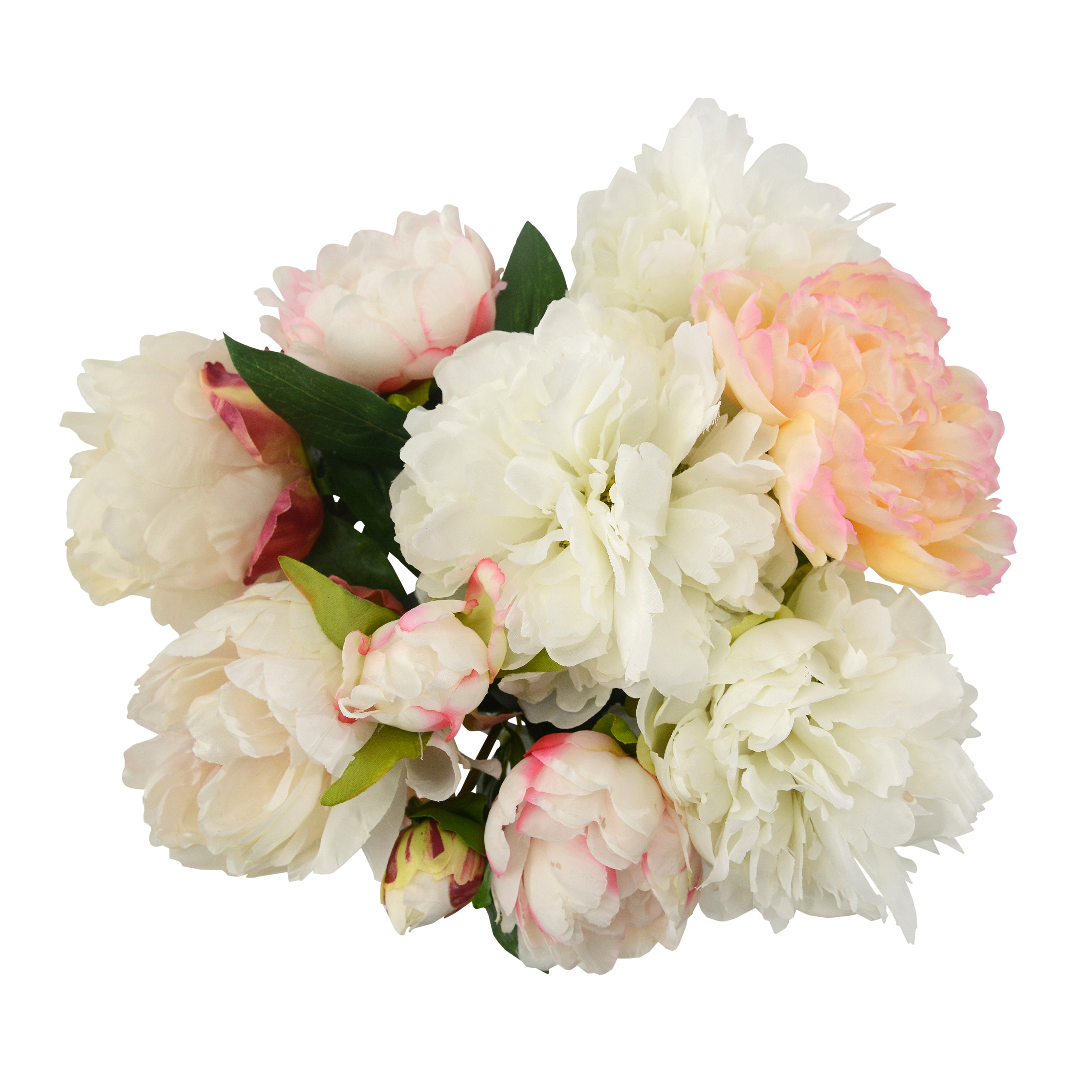 Peonies | John Richard - JRB-5147W
