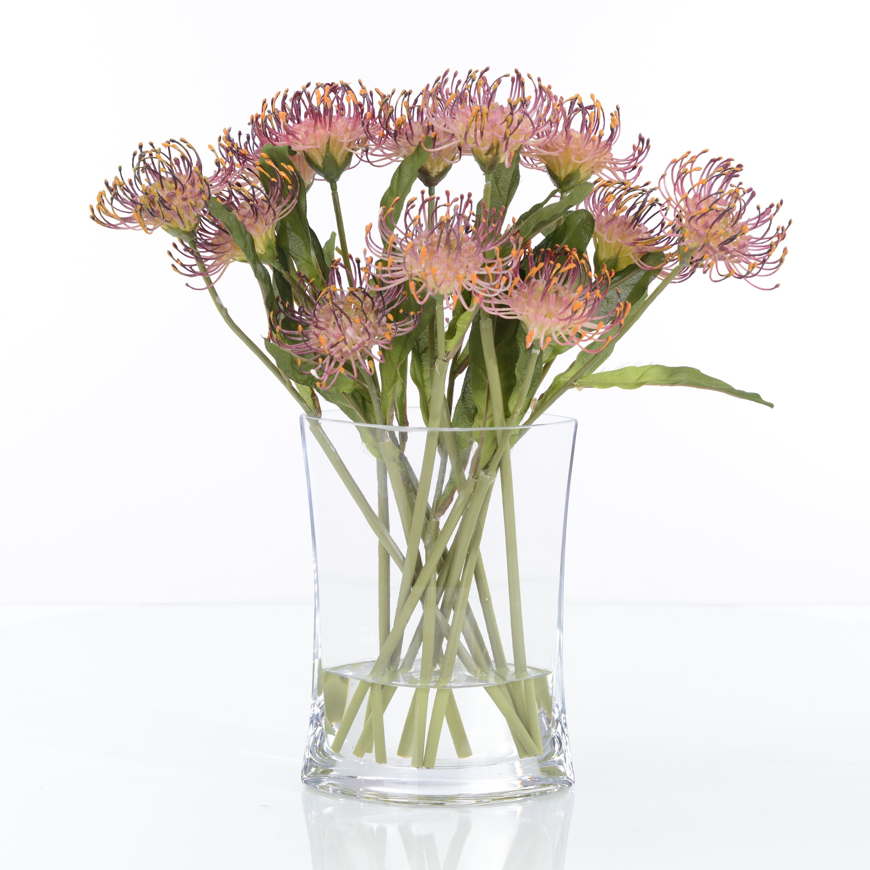 Cushion Protea | John Richard - JRB-5257W