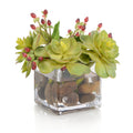 Succulents & Hypericum | John Richard - JRB-5325W