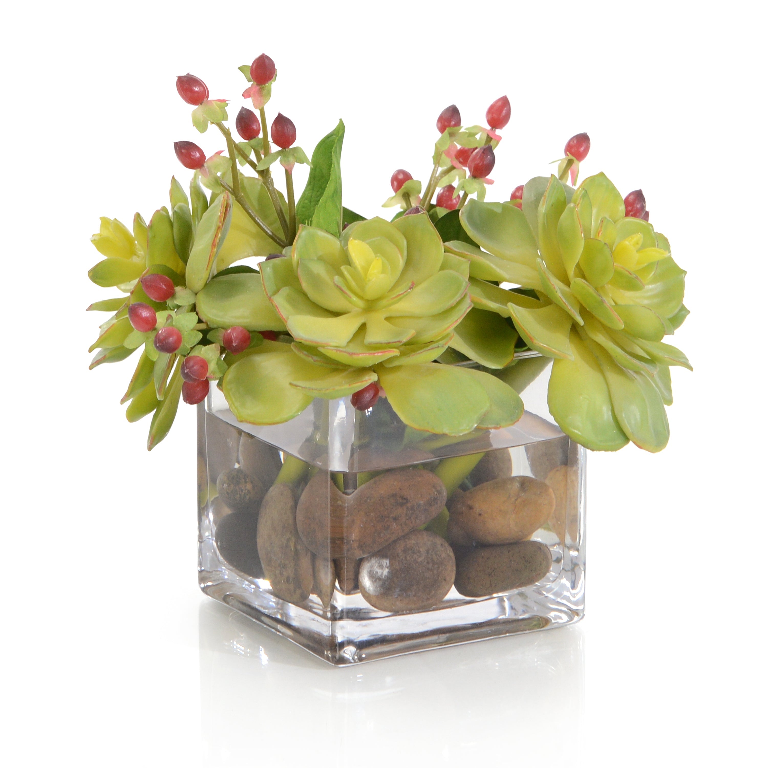 Succulents & Hypericum | John Richard - JRB-5325W