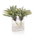 Desert Agave | John Richard - JRB-5346W