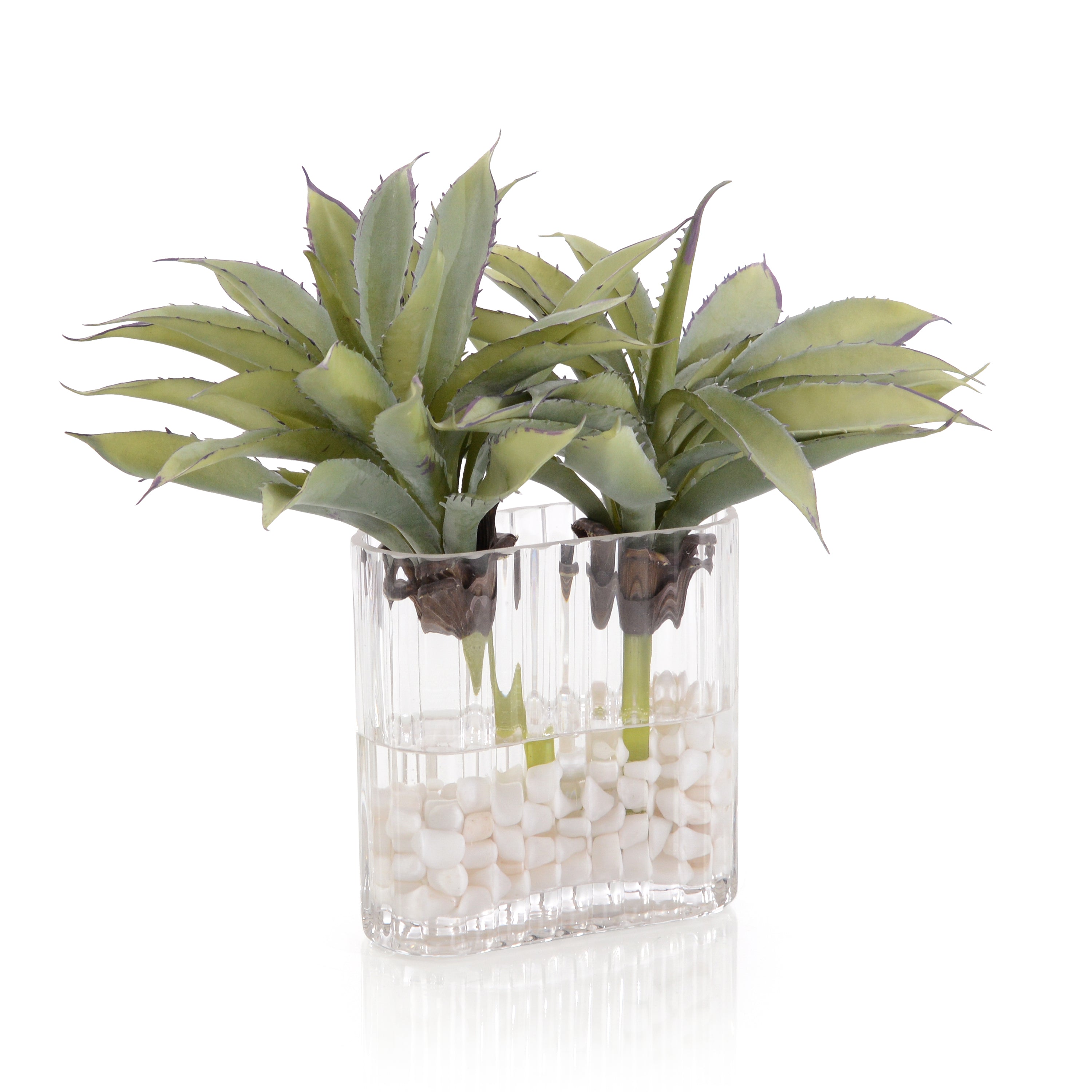 Desert Agave | John Richard - JRB-5346W
