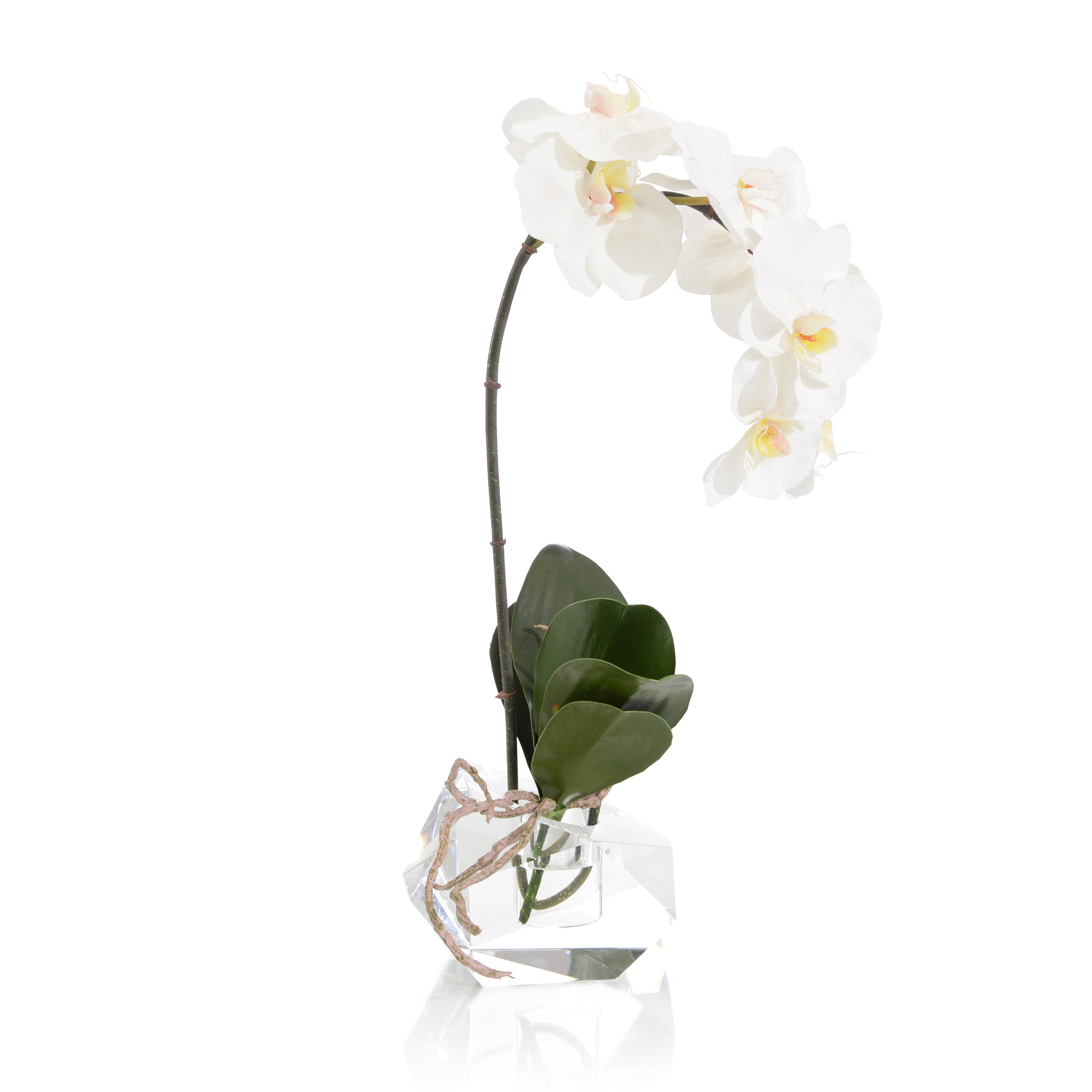 Real Touch Orchid | John Richard - JRB-5357W