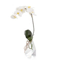 Rock Crystal Real Touch Orchid | John Richard - JRB-5358W