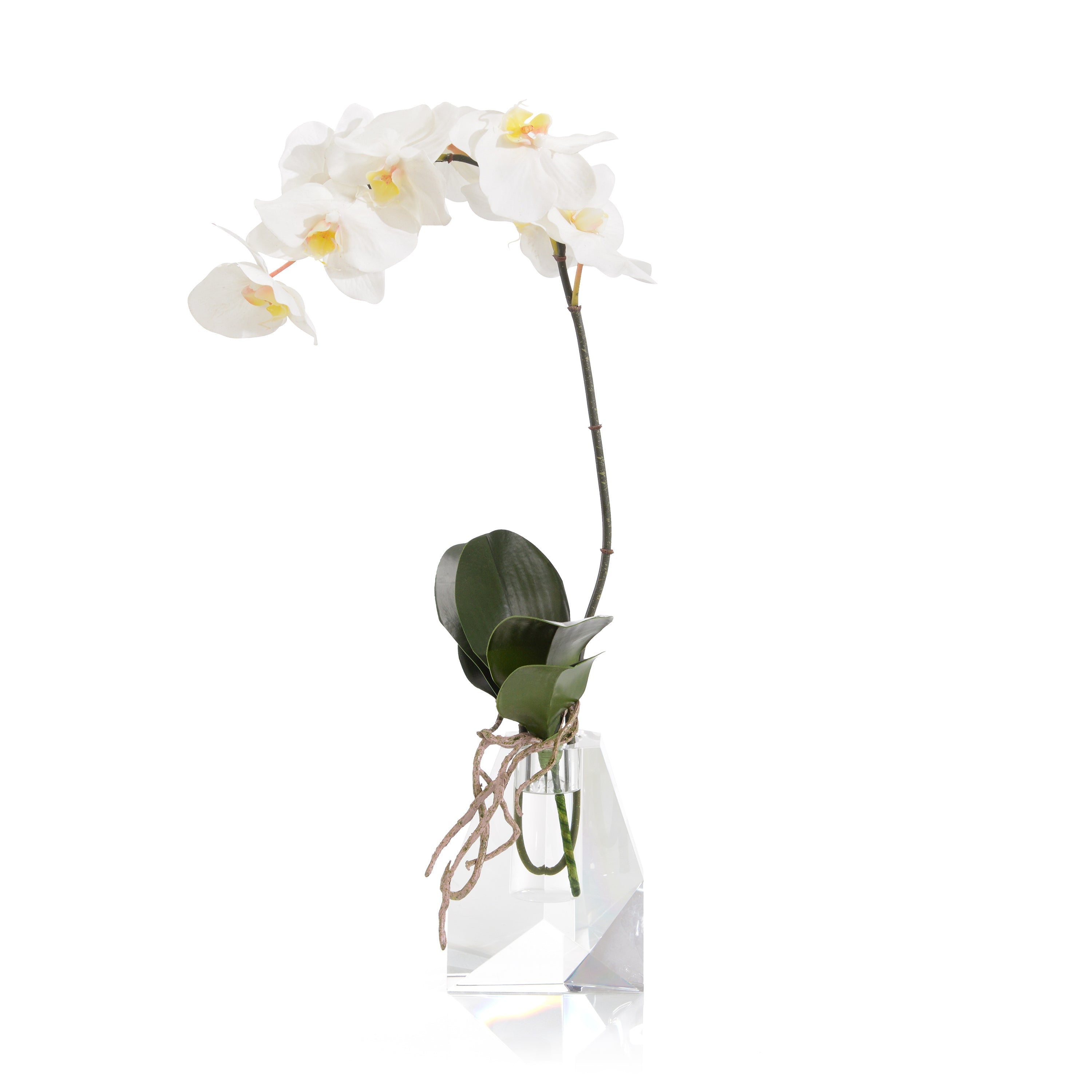 Rock Crystal Real Touch Orchid | John Richard - JRB-5358W