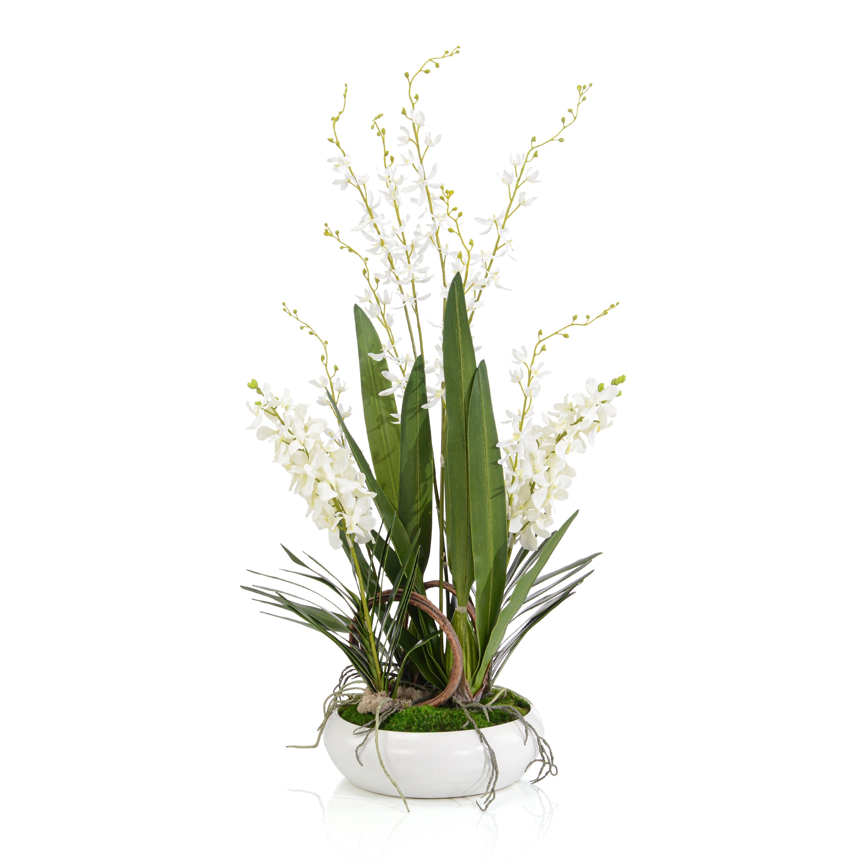 Porcelain Orchids | John Richard - JRB-5390