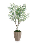 Tuscan Olive | John Richard - JRB-5516