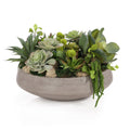 Amsterdam Succulents | John Richard - JRB-5551