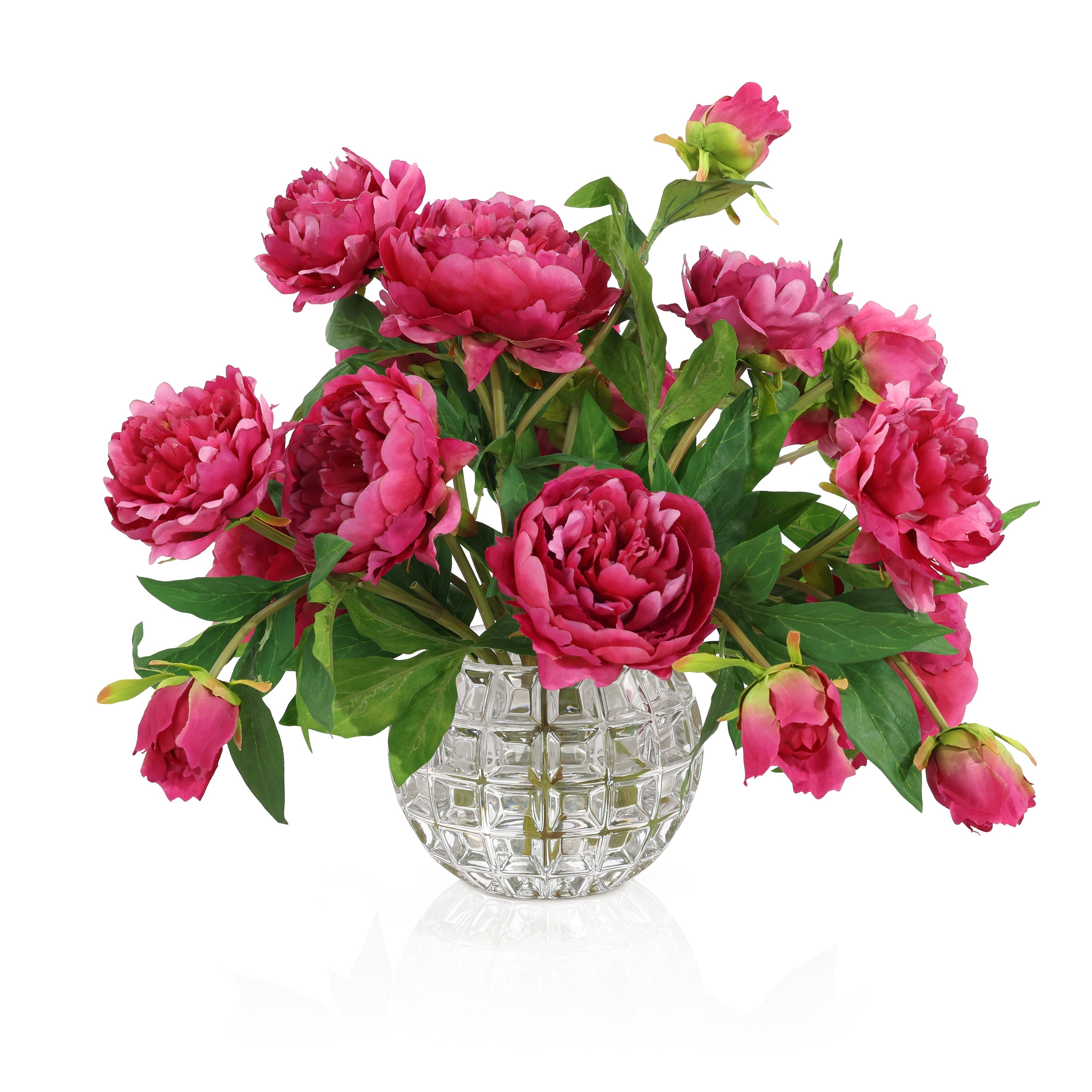 Garden Peonies | John Richard - JRB-5559W