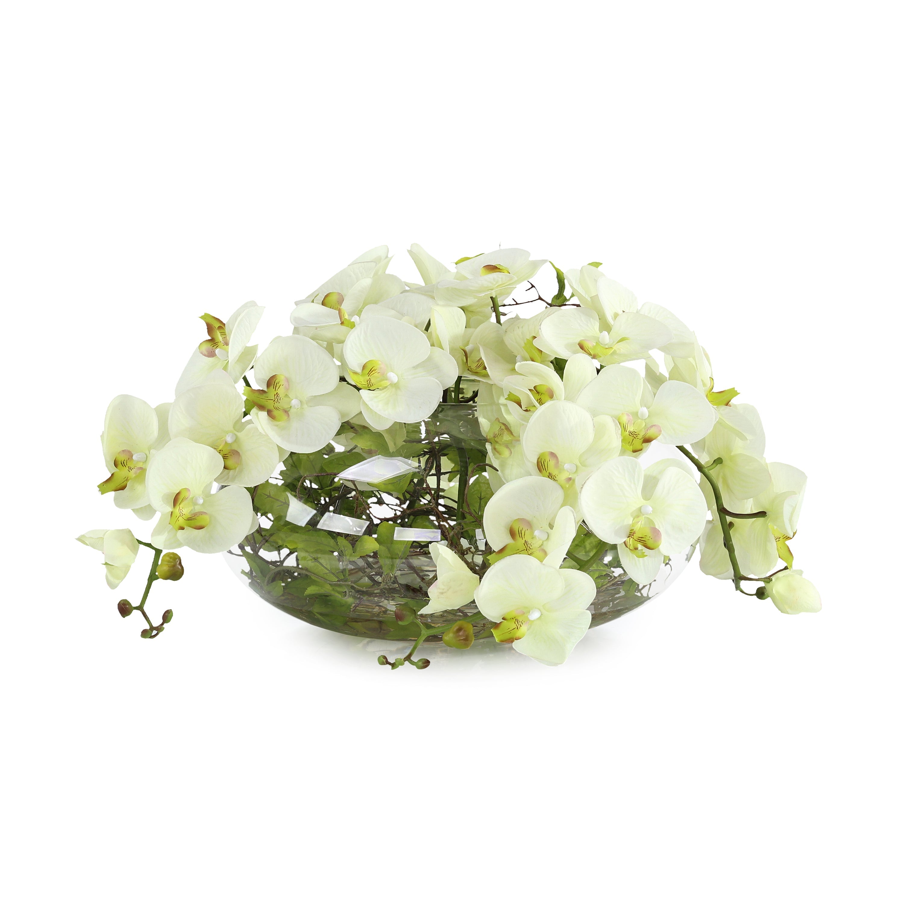 Enchanted Orchids | John Richard - JRB-5594W