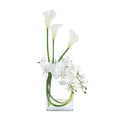 Snow White Blooms | John Richard - JRB-5601W