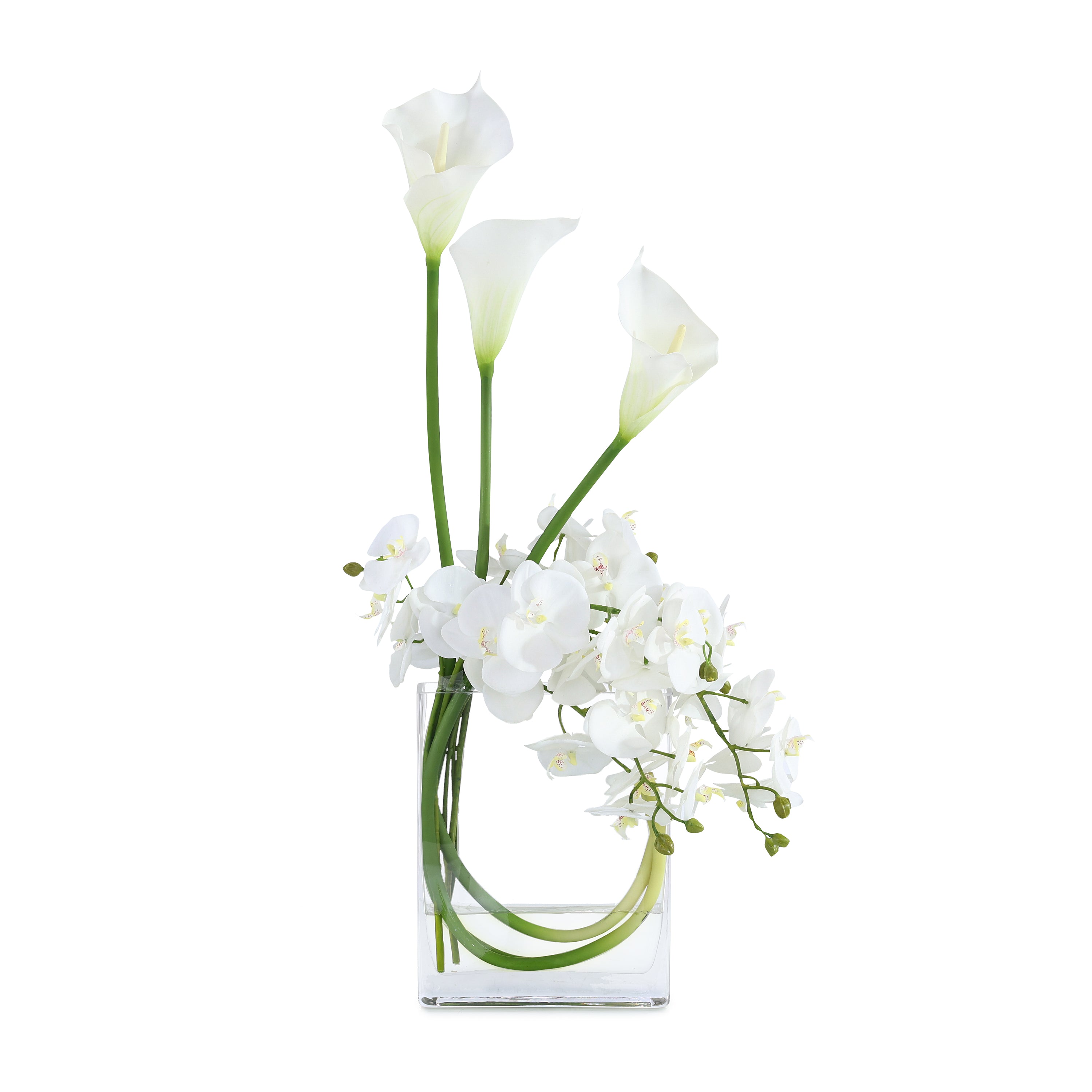Snow White Blooms | John Richard - JRB-5601W