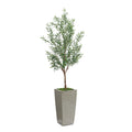 Garden Olive | John Richard - JRB-5611