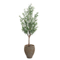 Italian Olive | John Richard - JRB-5613