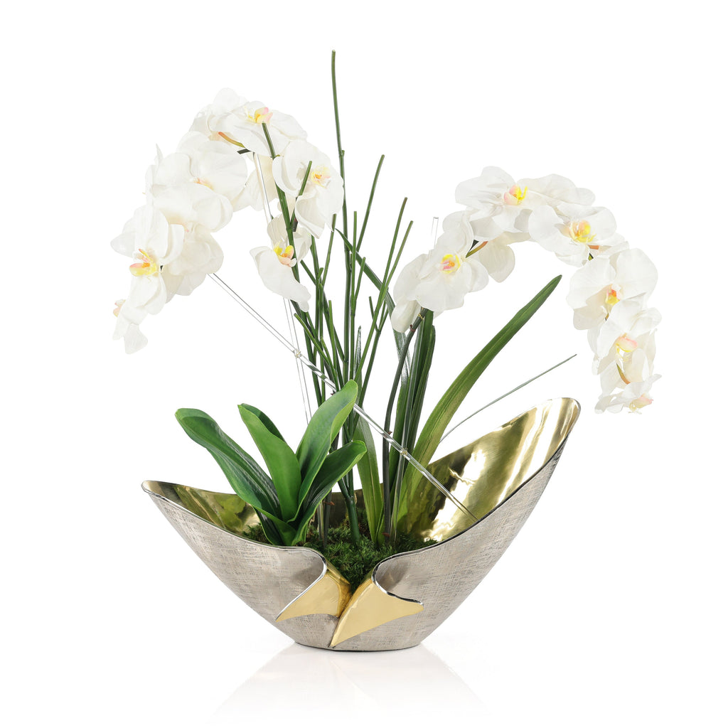 Elegant Real Touch Orchids | John Richard - JRB-5624