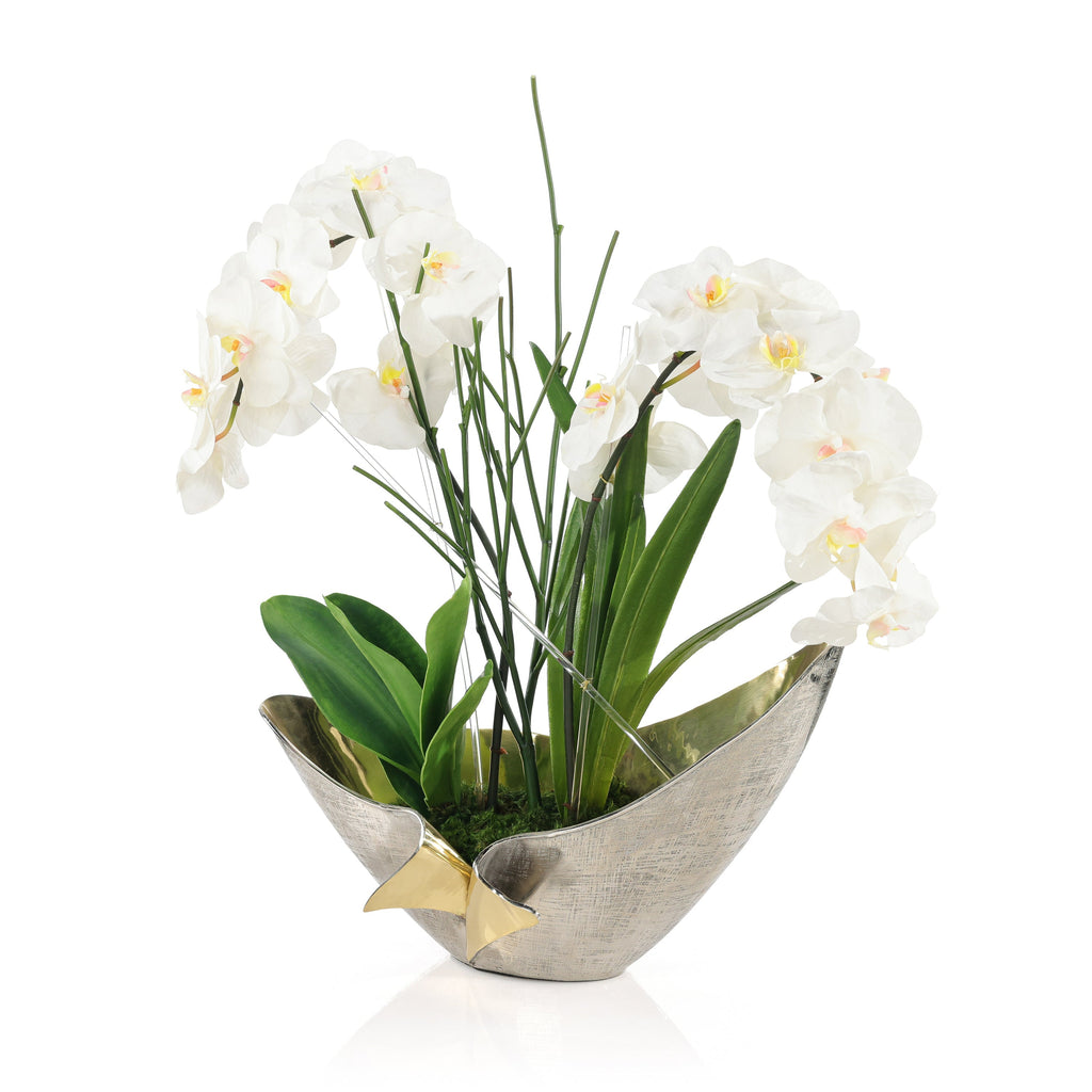 Elegant Real Touch Orchids | John Richard - JRB-5624