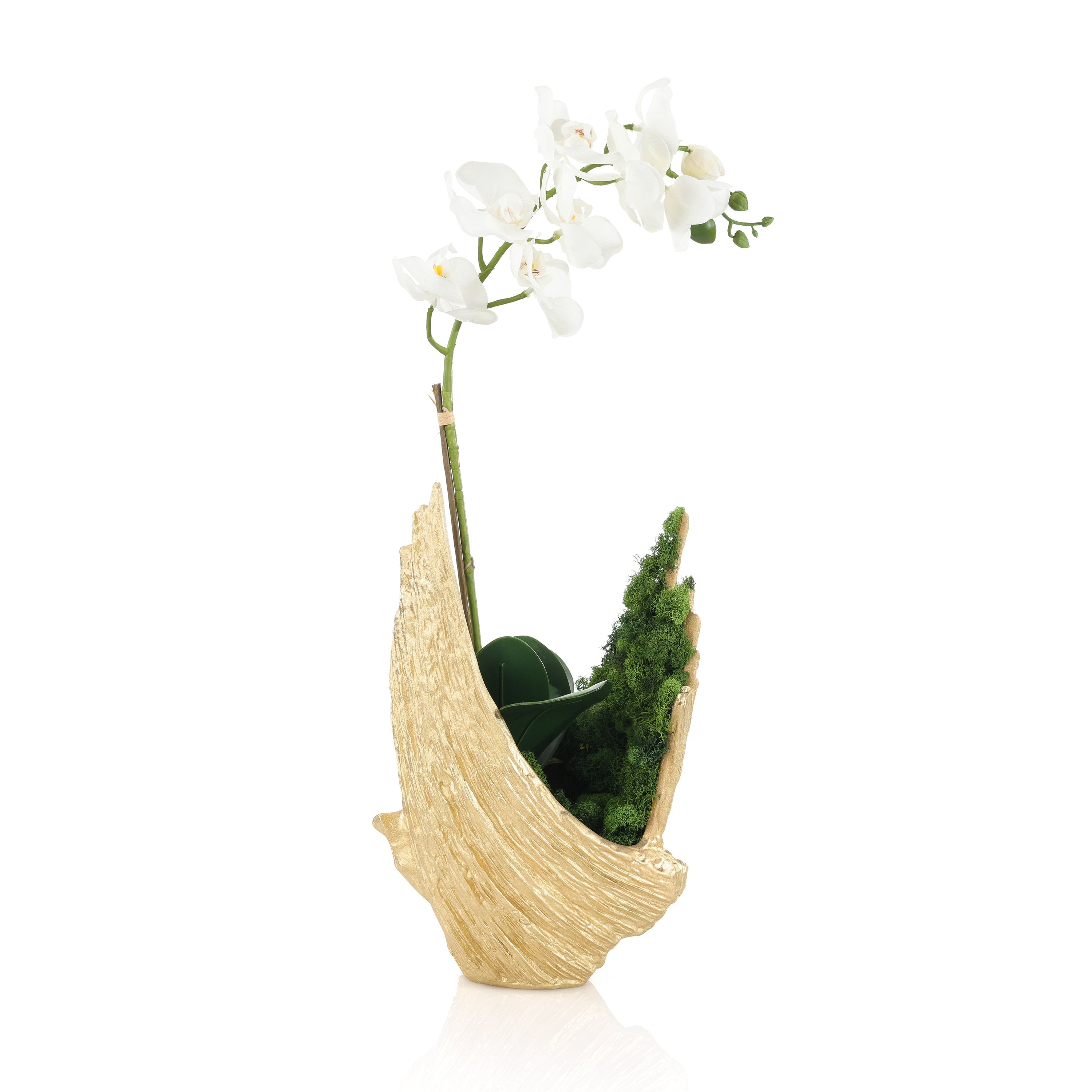Organic Mossy Orchid | John Richard - JRB-5625