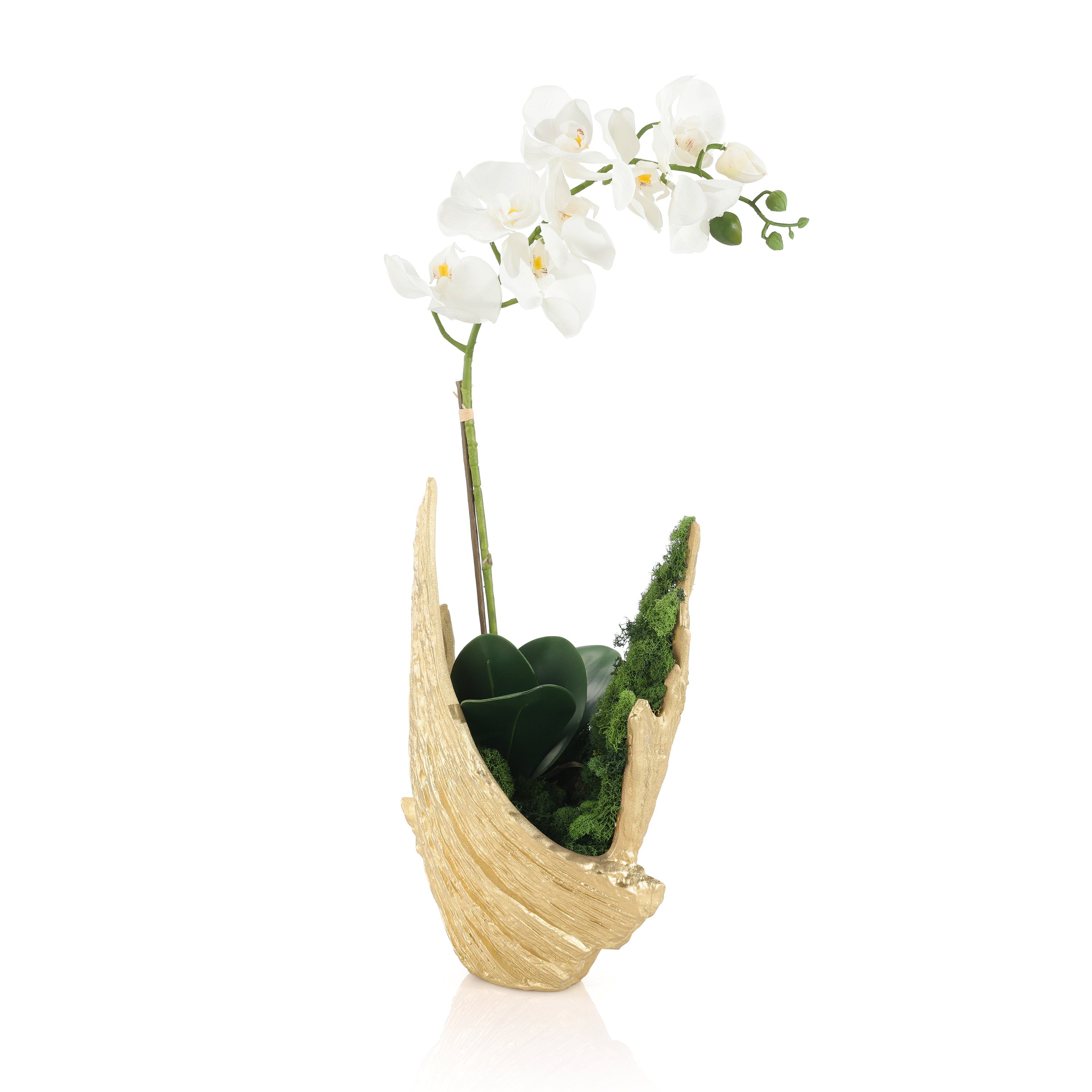 Organic Mossy Orchid | John Richard - JRB-5625