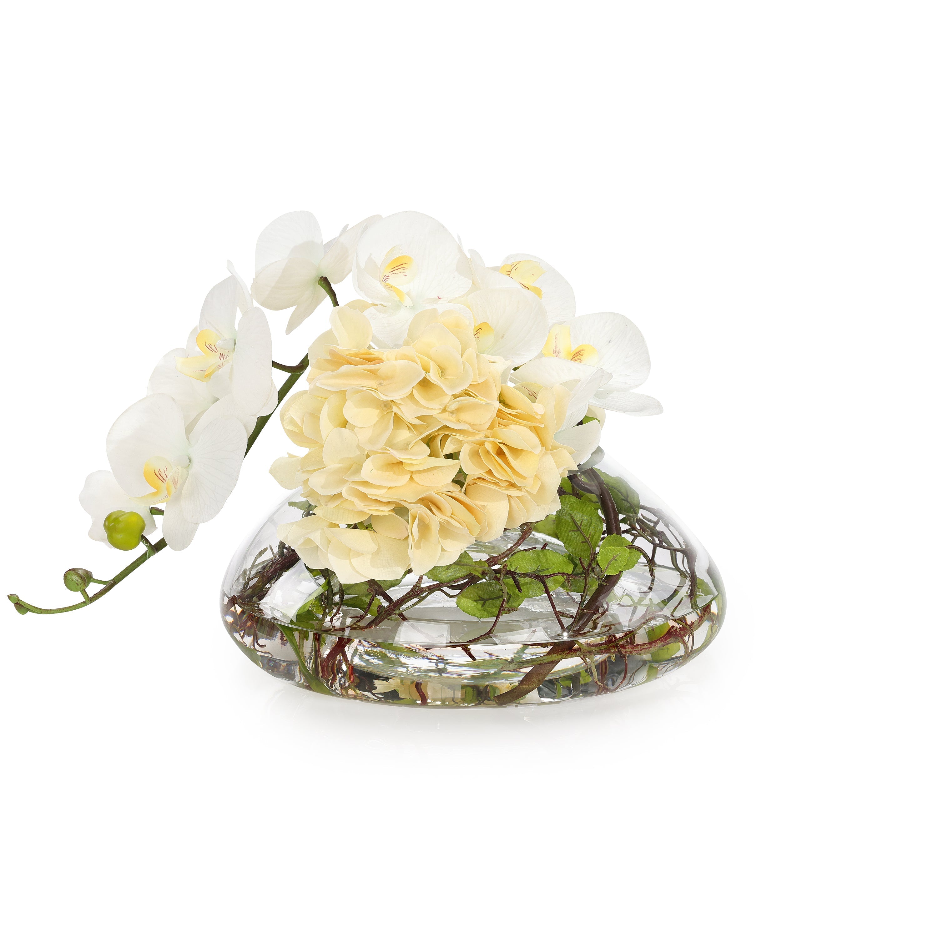 Golden Sun Hydrangeas | John Richard - JRB-5672W