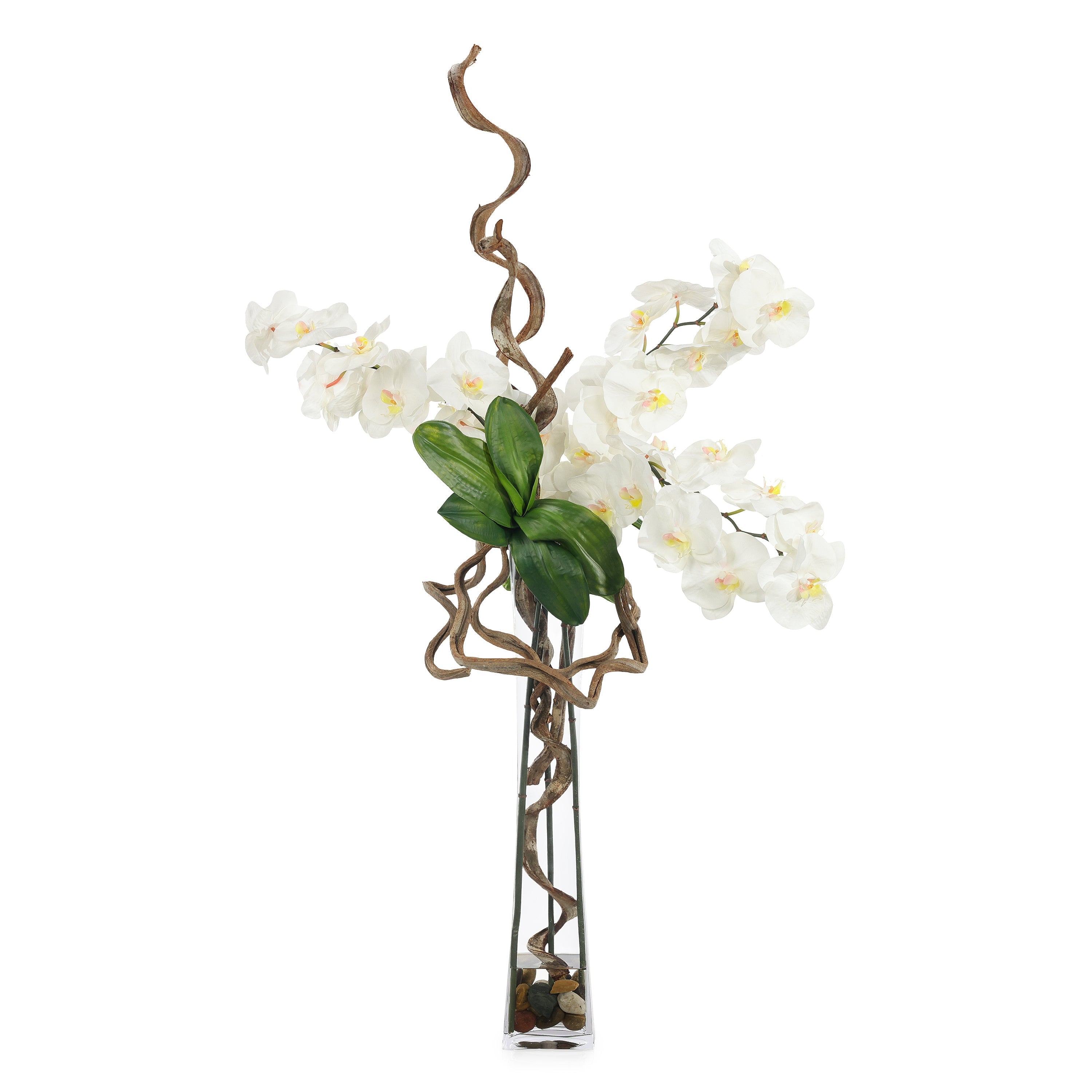 Nature in Bloom | John Richard - JRB-5683W