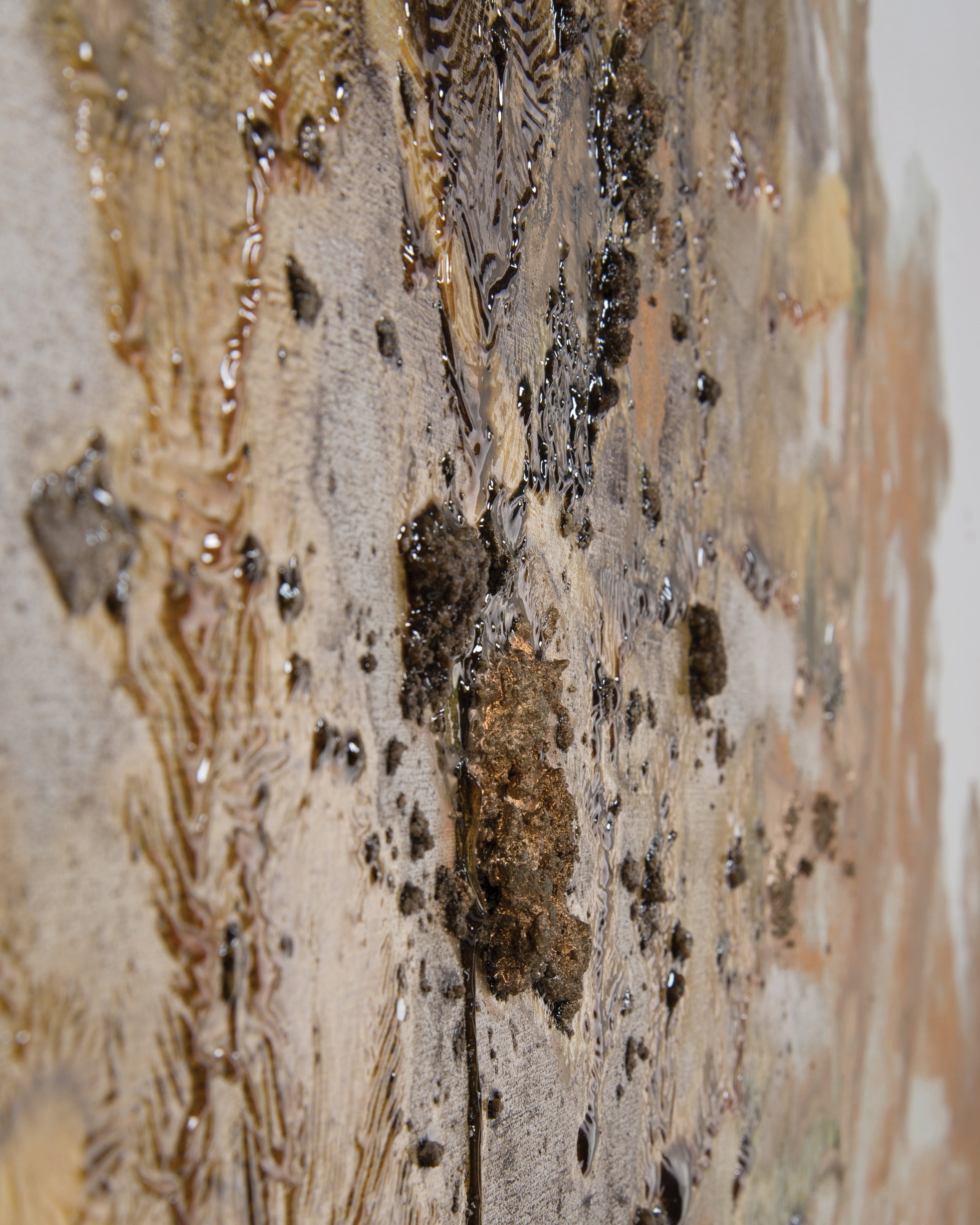 Chen Qi's Gilt And Charcoal | John Richard - JRO-2729