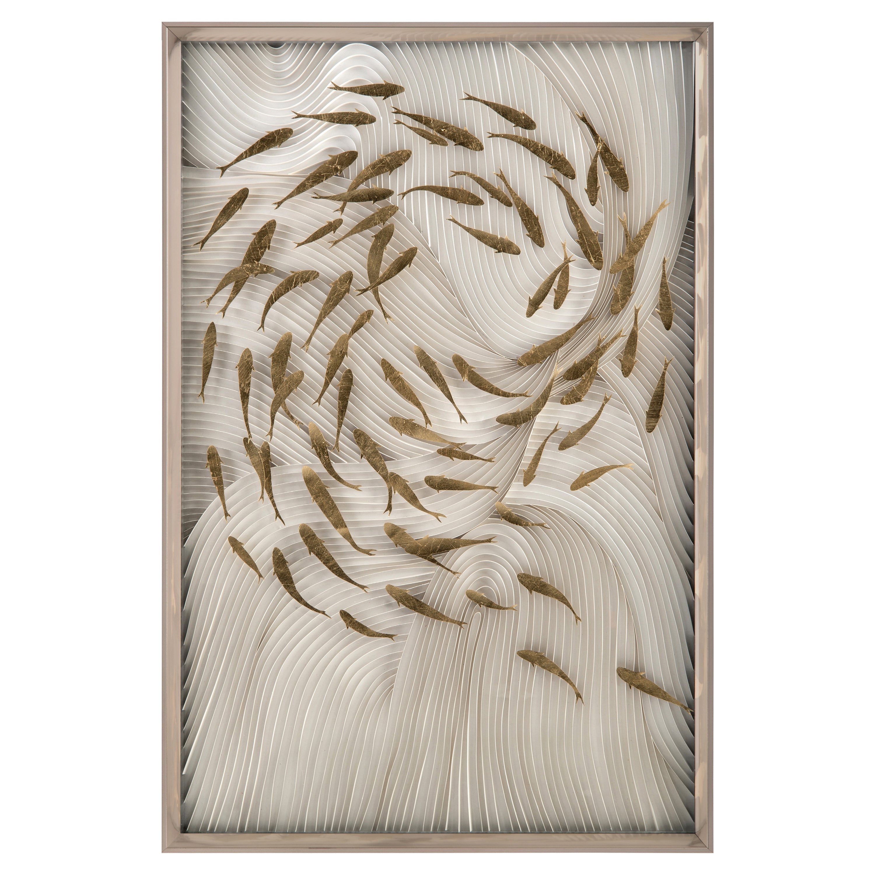 Robat's School of Fish | John Richard - JRO-2960
