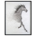 Tony Fey's Sprinting Stallion | John Richard - JRO-3025