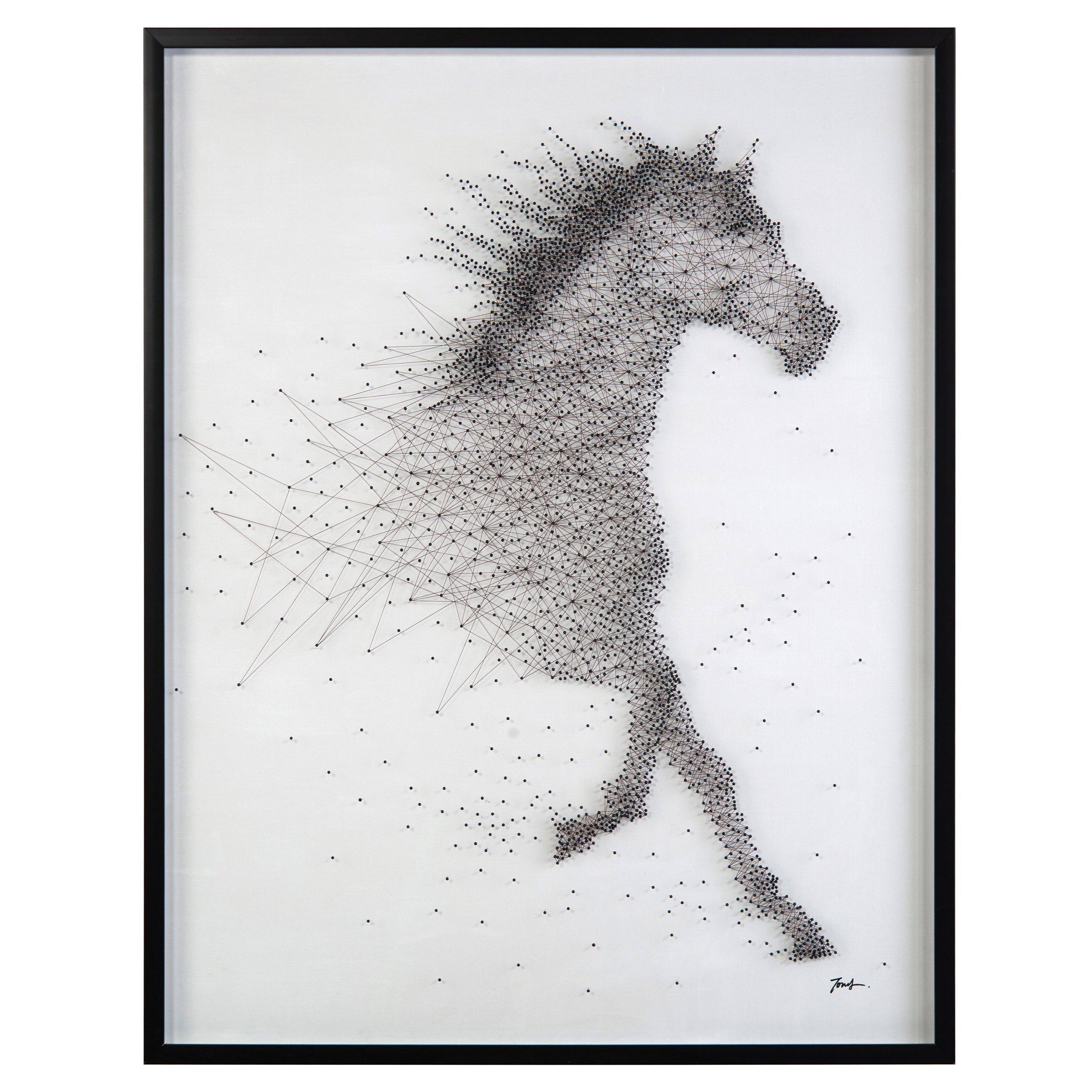 Tony Fey's Sprinting Stallion | John Richard - JRO-3025