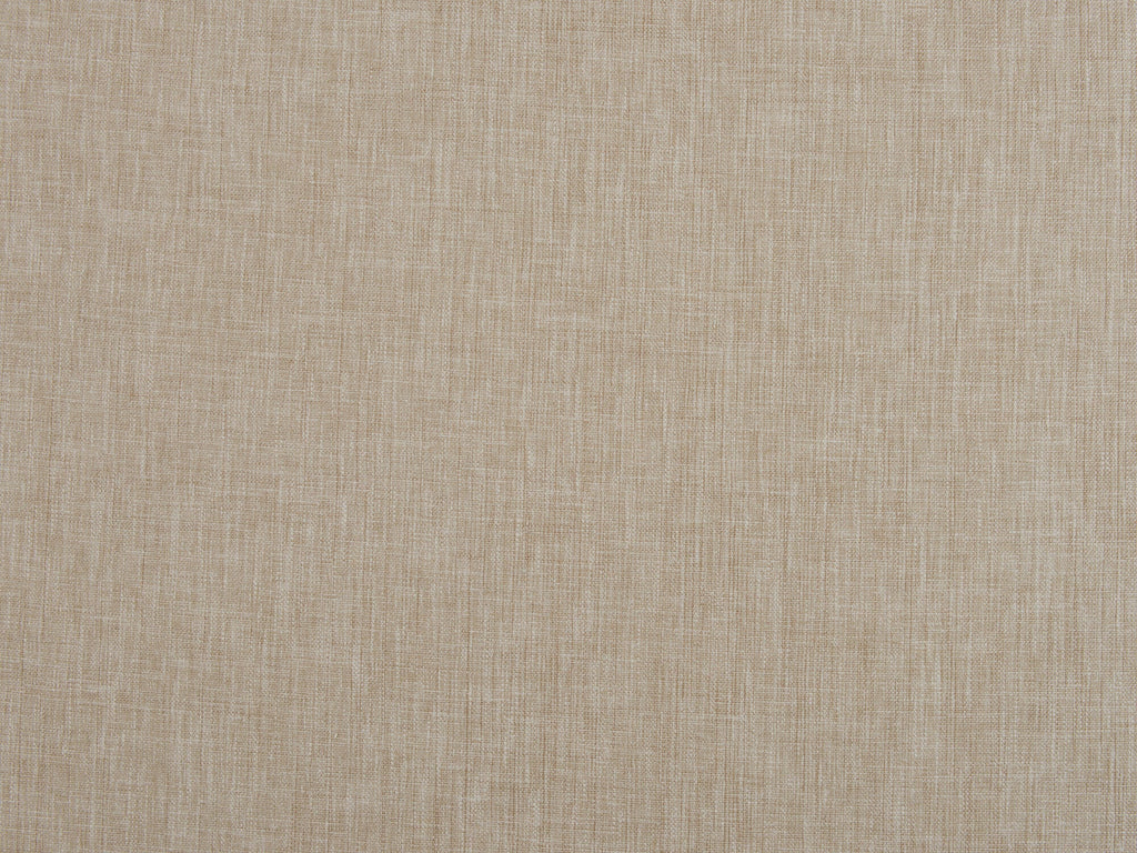 Delphine Camel