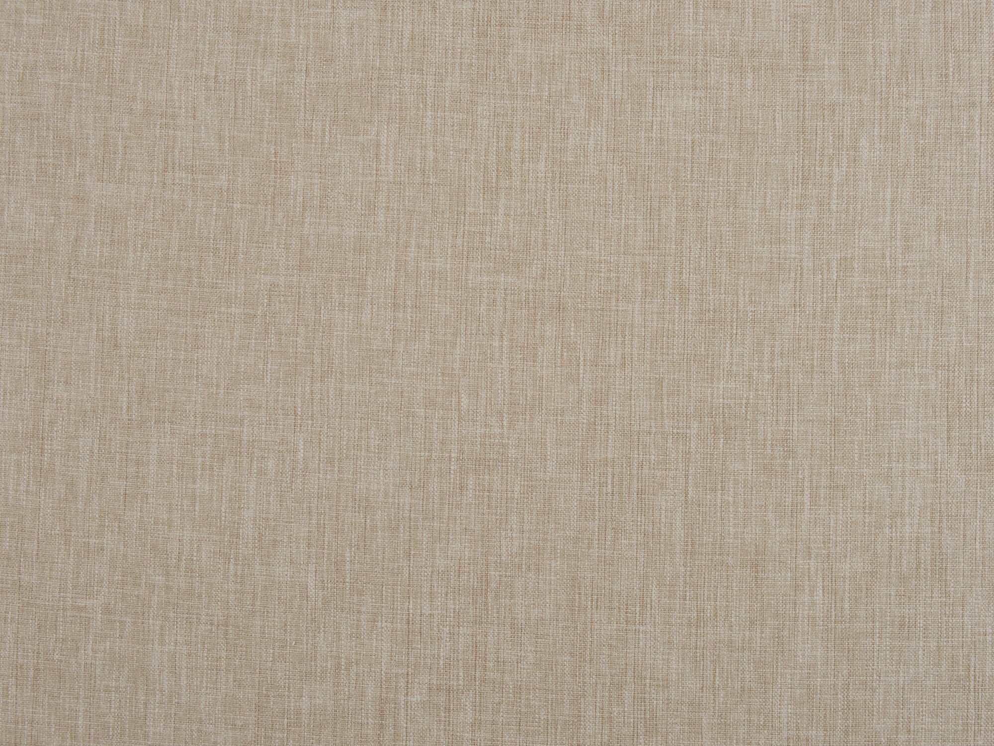 Delphine Camel