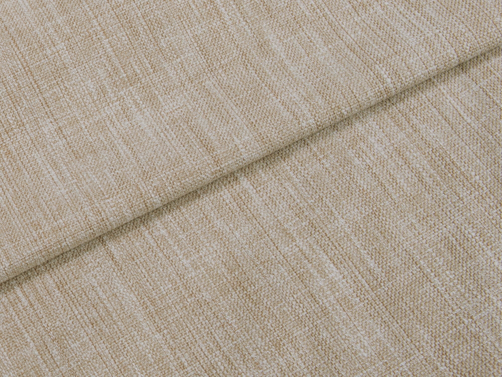 Delphine Camel