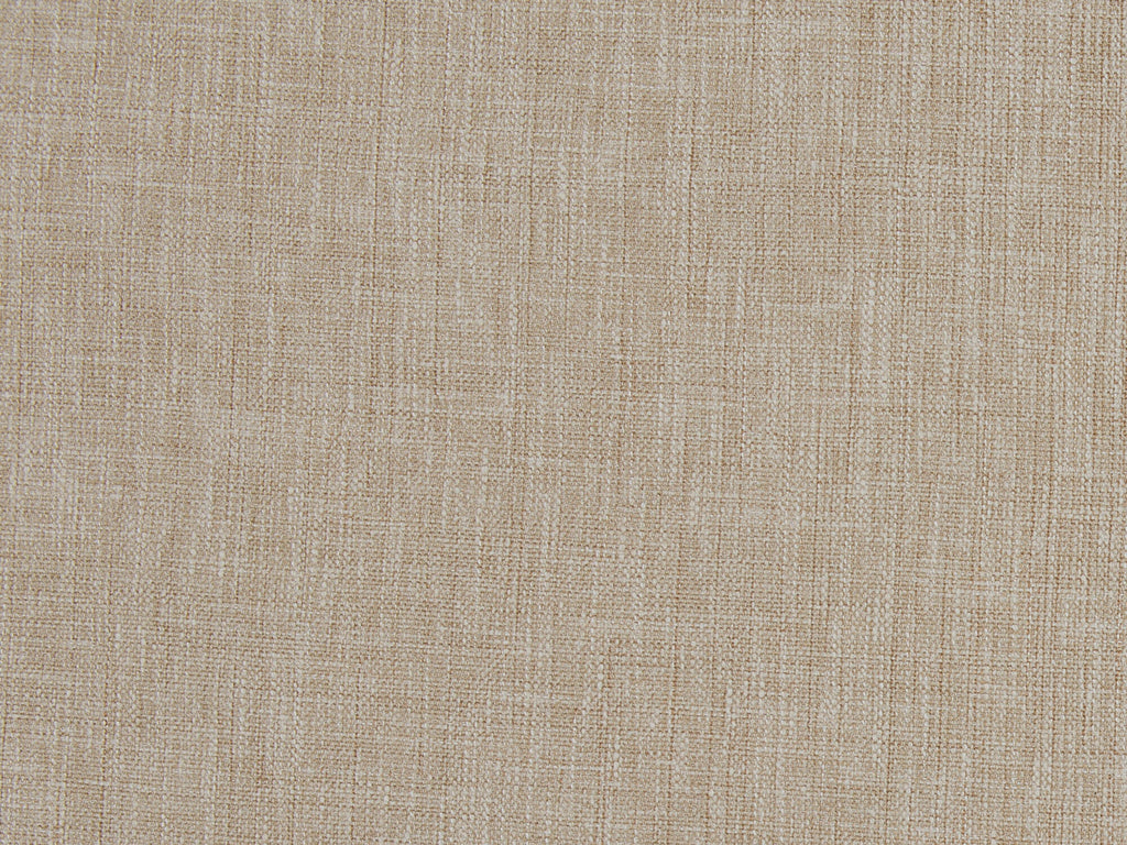Delphine Camel