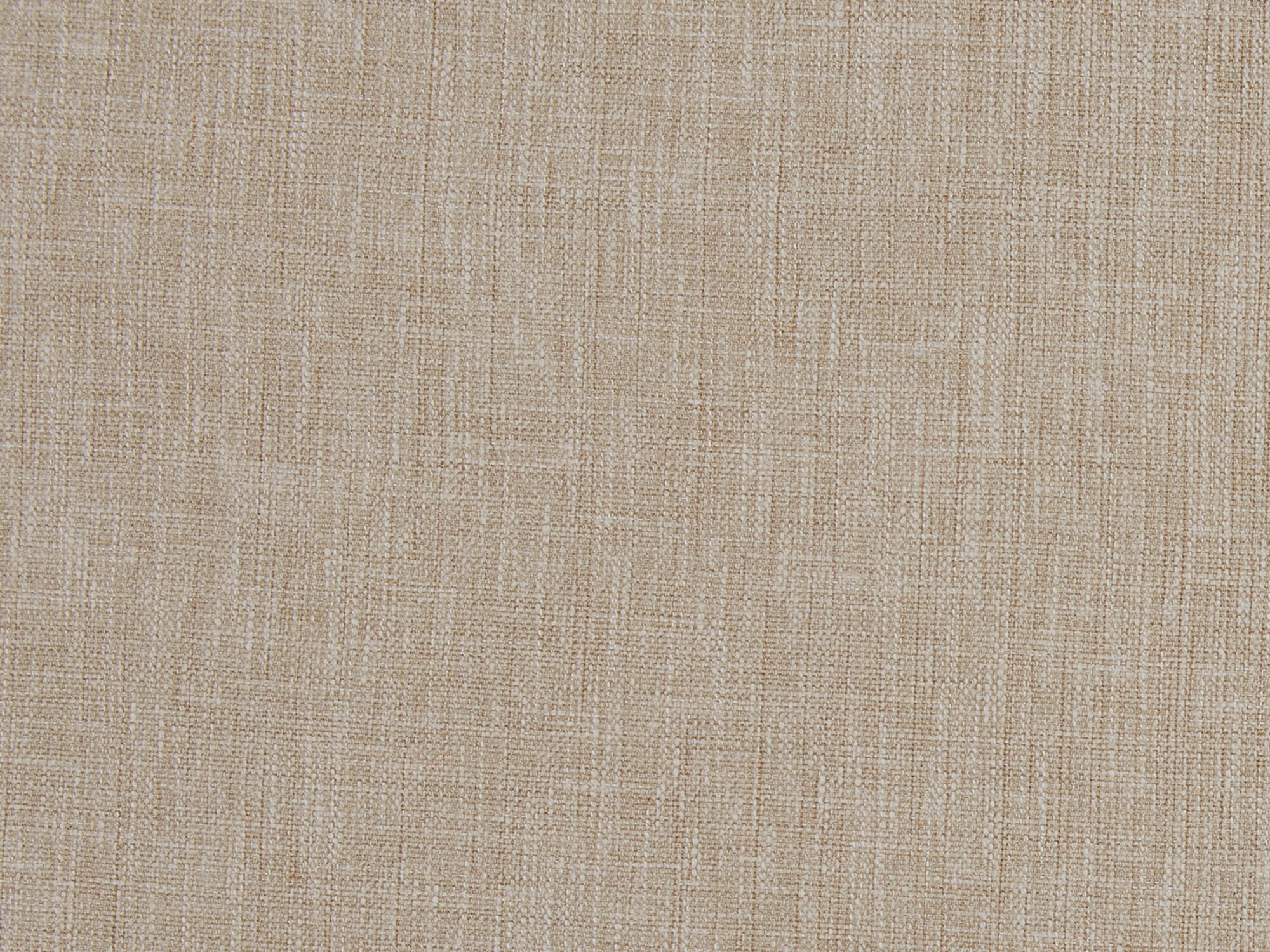 Delphine Camel