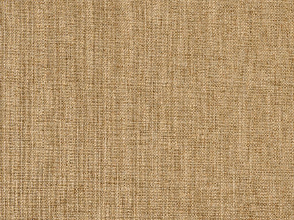 Kailani Saffron