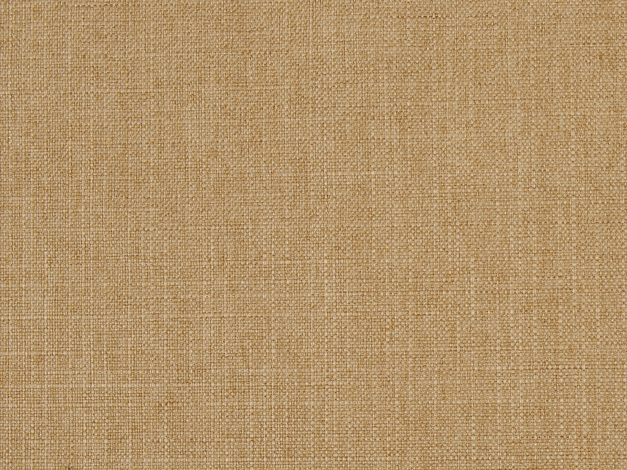 Kailani Saffron