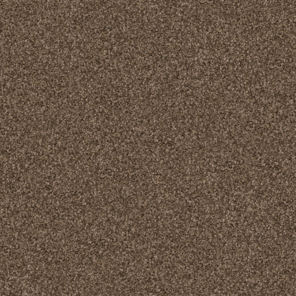 Labrador