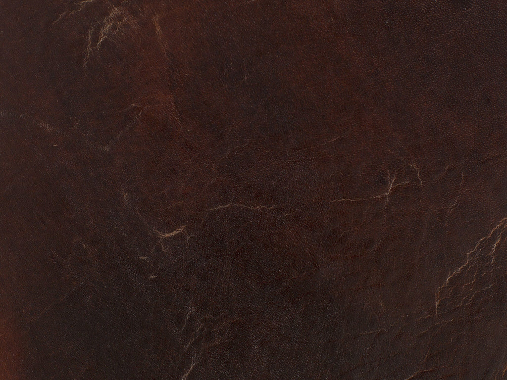 Chester Stationary Sofa Leather Image