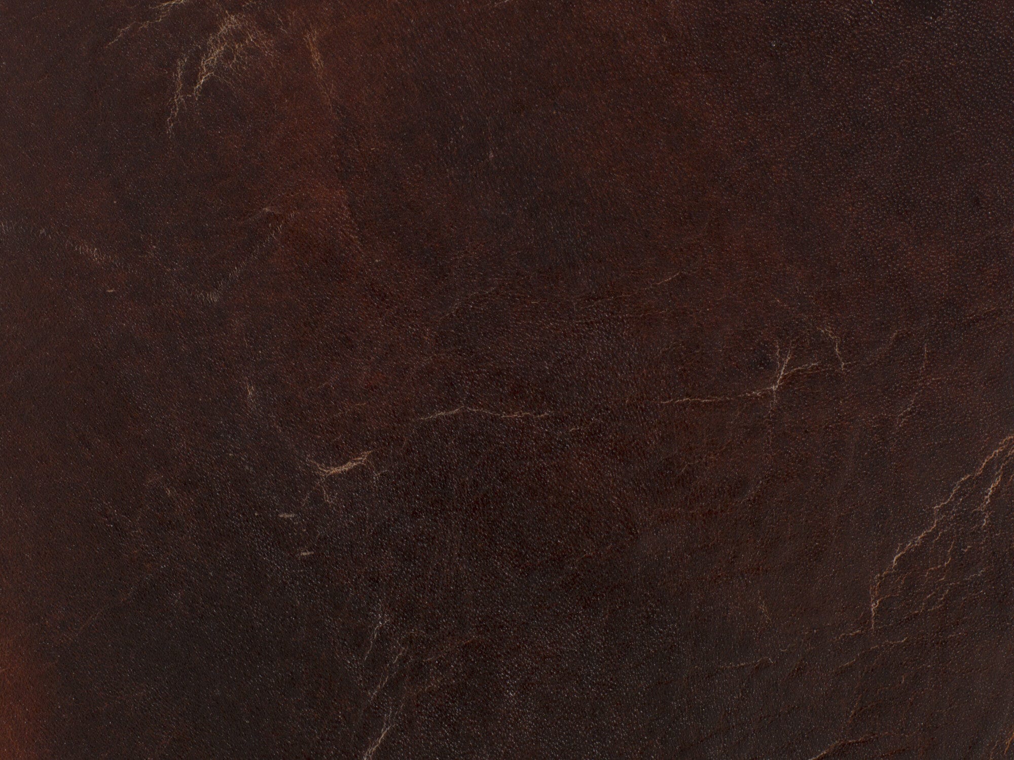 Chester Stationary Sofa Leather Image